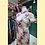Thumbnail: 米色淺紫色水墨畫長旗袍 Long beige qipao P-034